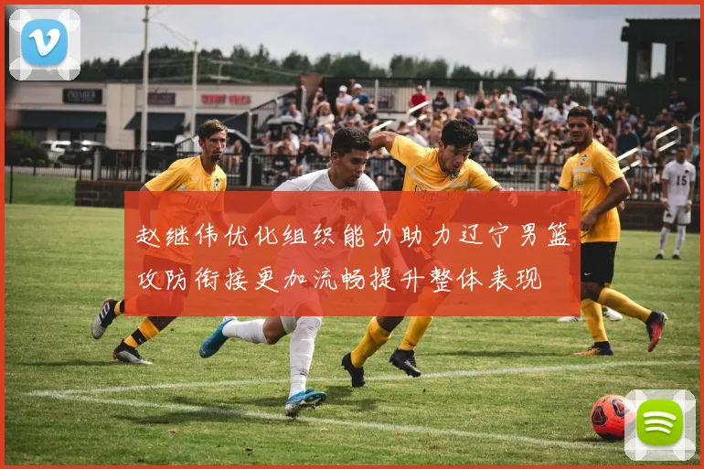 赵继伟优化组织能力助力辽宁男篮攻防衔接更加流畅提升整体表现
