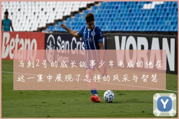马刺2号的成长故事少年老成的他在这一集中展现了怎样的风采与智慧